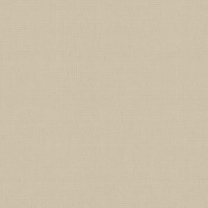 Unicolour Beige